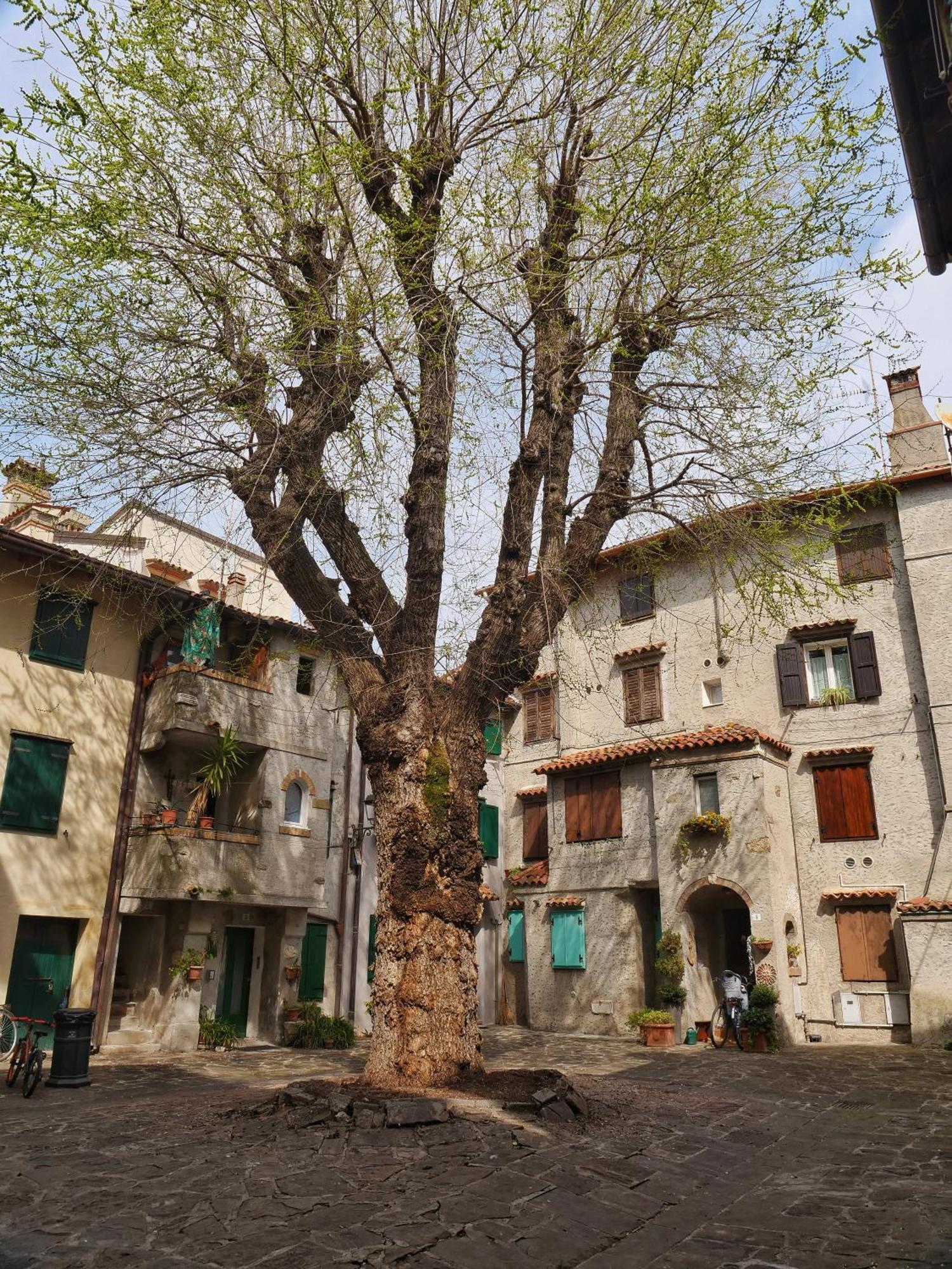 Casa Vianella - Romantico Monolocale Per Vivere Come Una Volta Γκράντο Εξωτερικό φωτογραφία